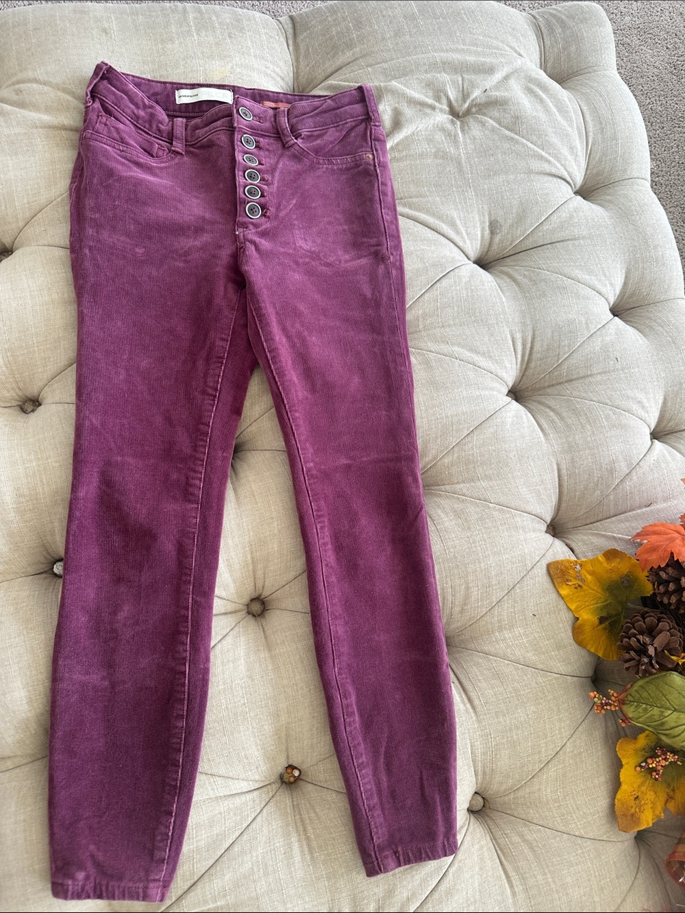 Pilcro Skinny Button-Fly Jeans in Plum